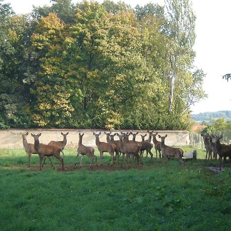 La Ferme Aux Biches Bed and Breakfast Commelle-Vernay Buitenkant foto